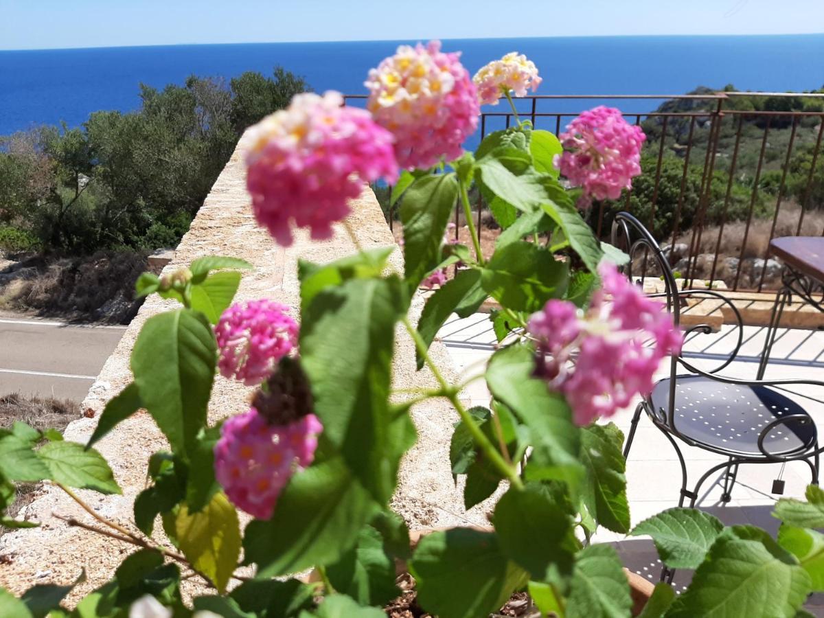 Villetta Cipolliane Santa Maria di Leuca Ngoại thất bức ảnh